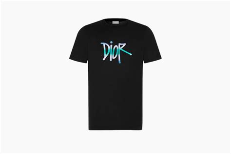 stussy x dior t shirt|shawn stussy x Dior logo.